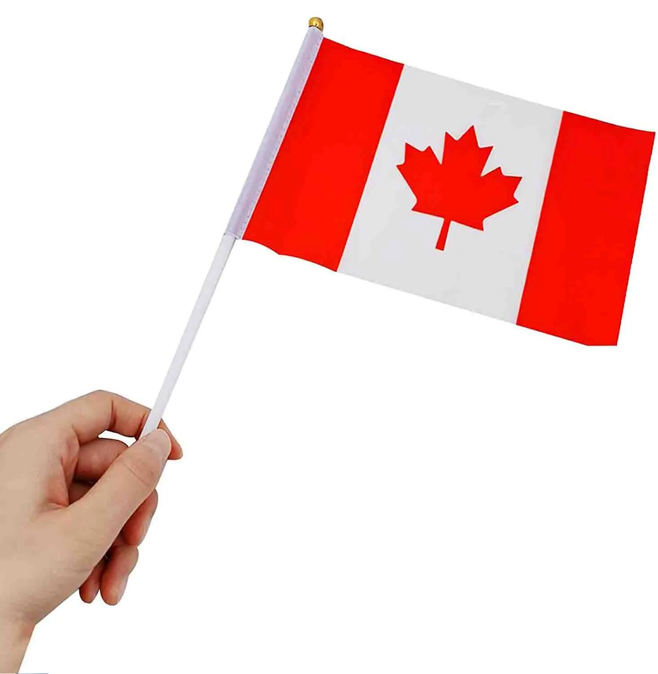 Screenshot 2567-06-18 at 1.38.05 AM