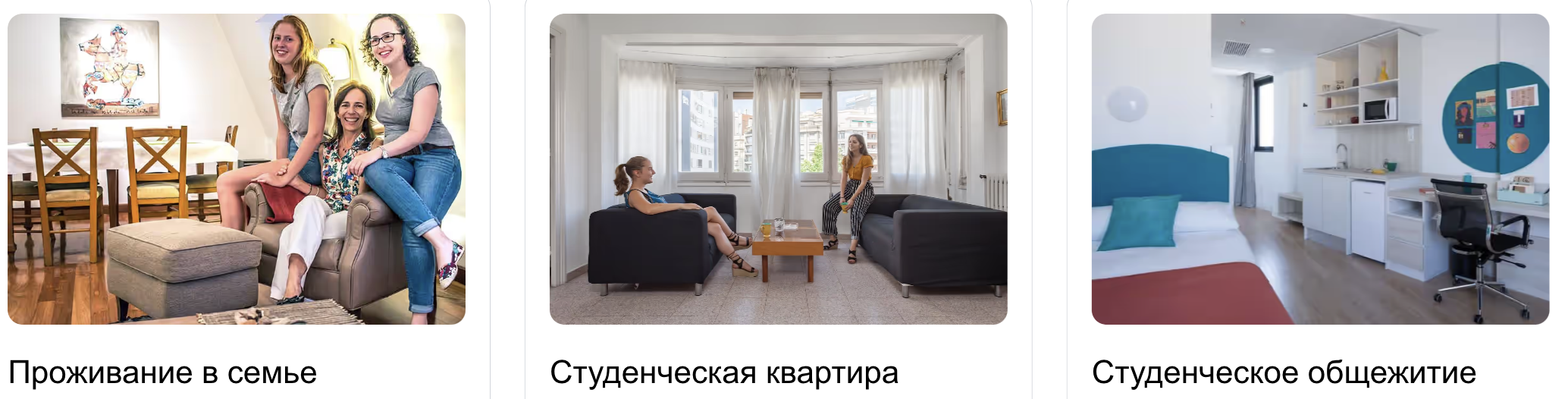 Screenshot 2024-11-12 at 3.20.45 PM